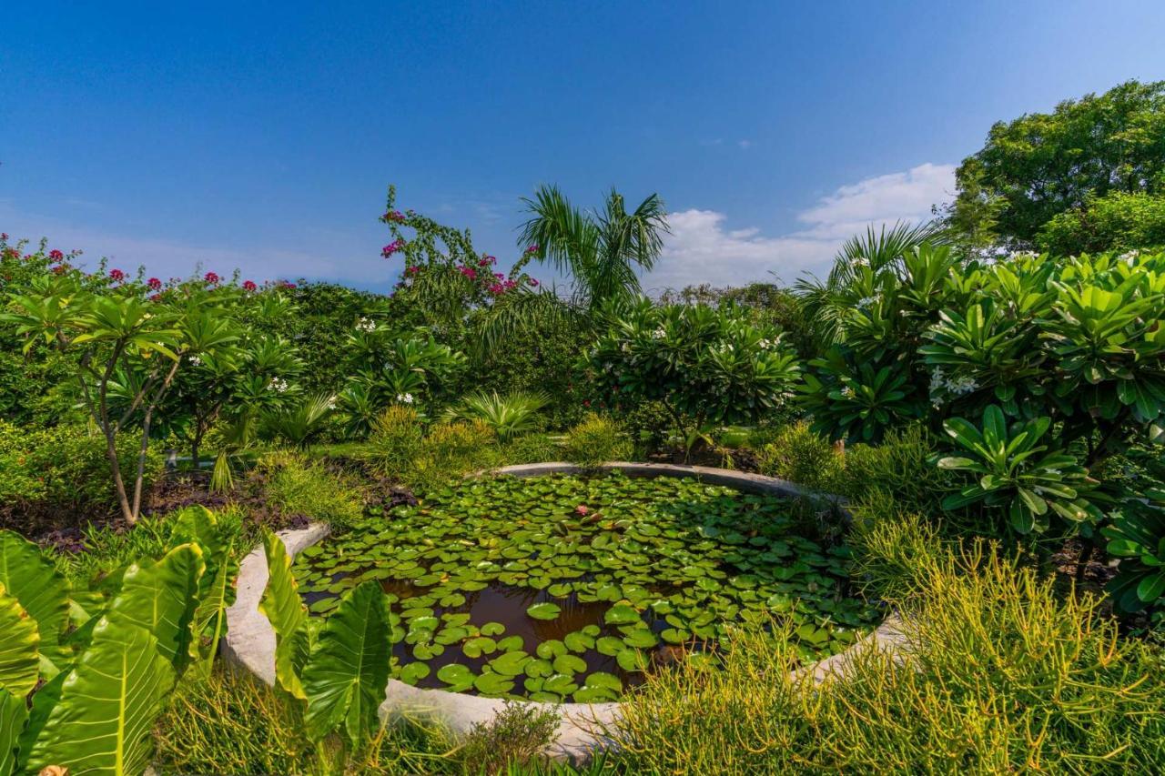 Stayvista'S Anantam - Luxury 4Br Villa With Huge Swimming Pool In Delhi Yeni Delhi Dış mekan fotoğraf